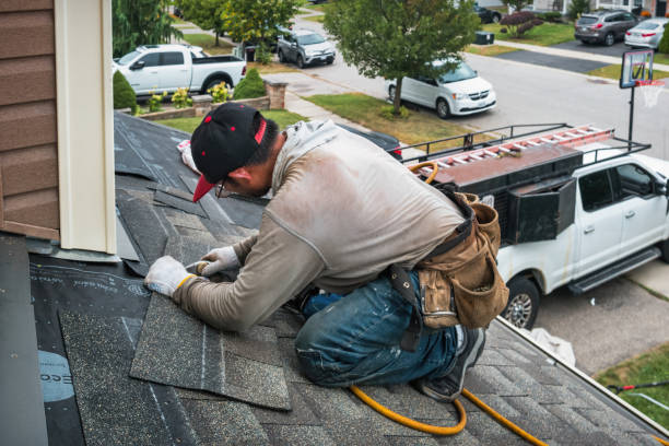 Professional Storm Damage Roof Repair technician working in Cambridge, IL